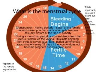 What is the menstrual cycle ?
