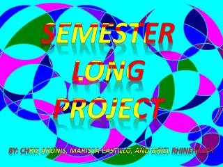 Semester Long Project