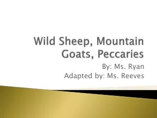 Wild Sheep, Mountain Goats, Peccaries