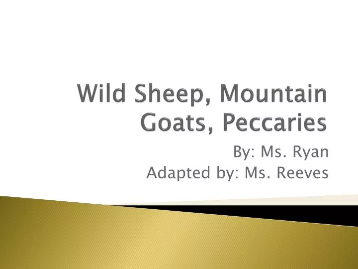wild sheep mountain goats peccaries