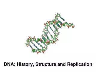 dna history structure and replication