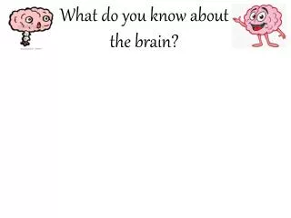 What do you know about the brain?