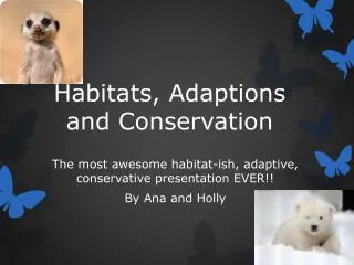 Habitats, Adaptions and Conservation