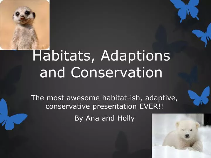 habitats adaptions and conservation
