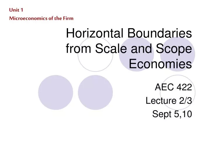 horizontal boundaries from scale and scope economies