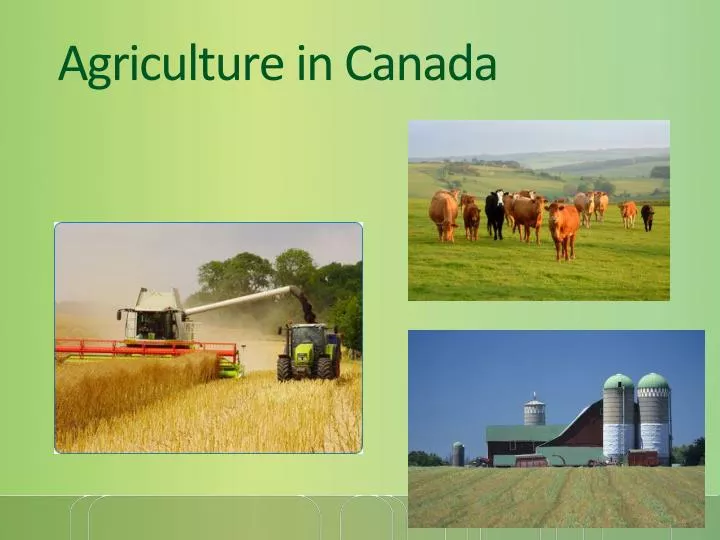 agriculture in canada