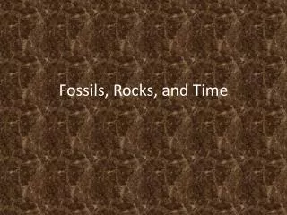 fossils rocks and time