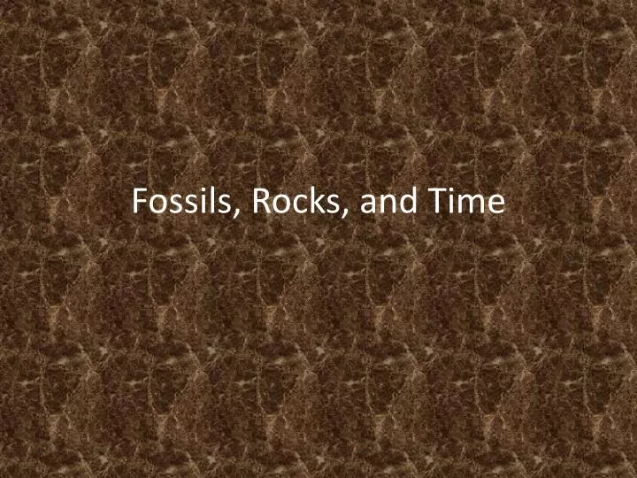 fossils rocks and time