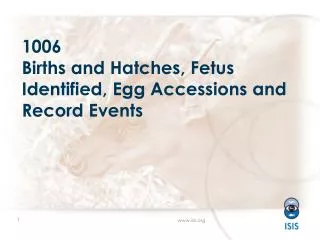 1006 Births and Hatches , Fetus Identified, Egg Accessions and Record Events