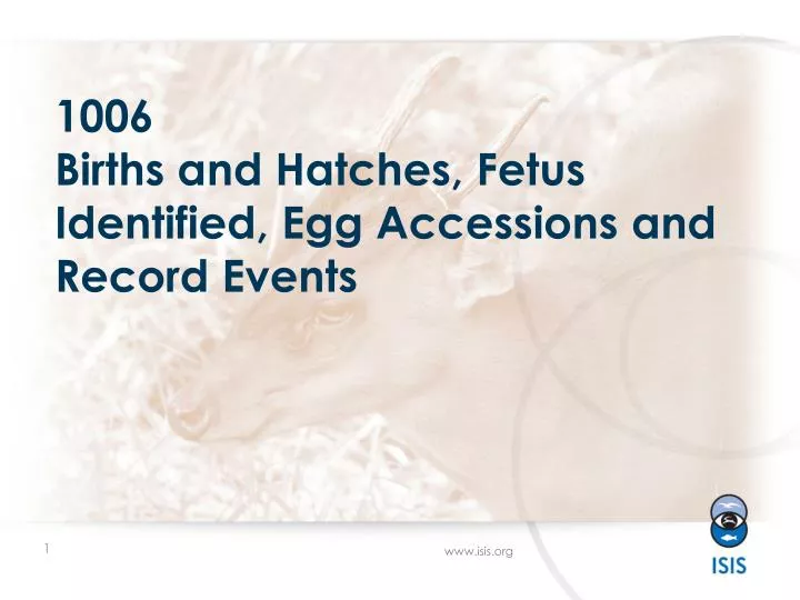 1006 births and hatches fetus identified egg accessions and record events