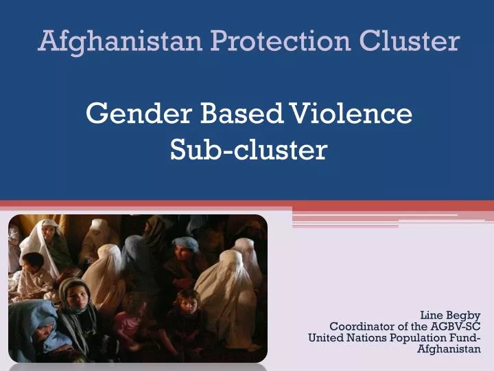 afghanistan protection cluster gender based violence sub cluster