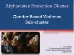Afghanistan Protection Cluster Gender Based Violence Sub-cluster