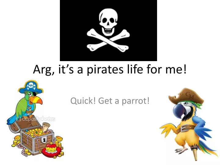 arg it s a pirates life for me