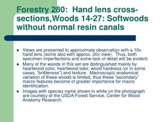 Forestry 280: Hand lens cross-sections,Woods 14-27: Softwoods without normal resin canals