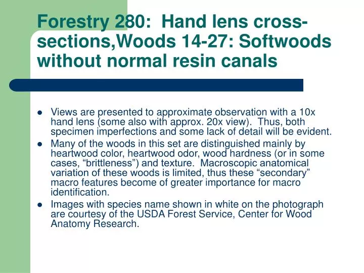 forestry 280 hand lens cross sections woods 14 27 softwoods without normal resin canals