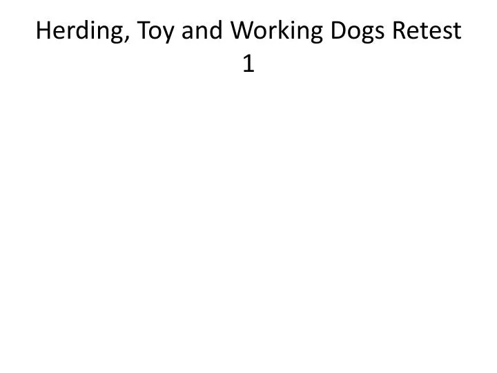 herding toy and working dogs retest 1