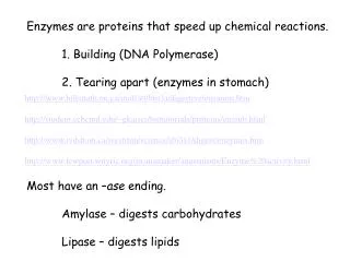 Enzymes are proteins that speed up chemical reactions. 	1. Building (DNA Polymerase)