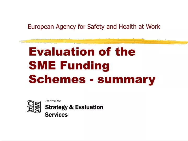 evaluation of the sme funding schemes summary
