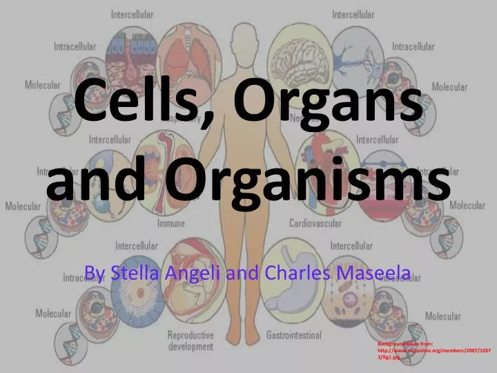cells organs and organisms