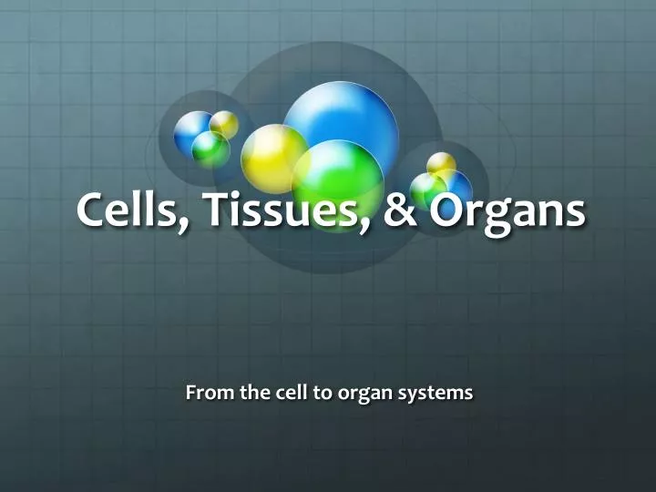 cells tissues organs
