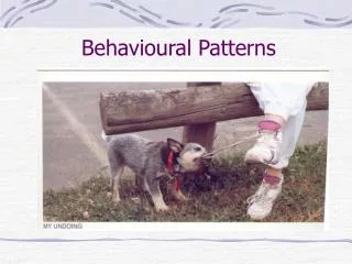 Behavioural Patterns