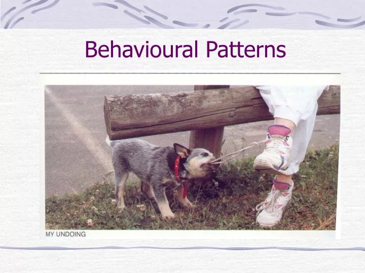 behavioural patterns