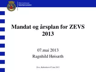 mandat og rsplan for zevs 2013
