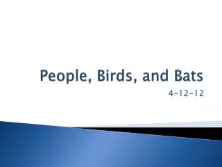 People, Birds, and Bats