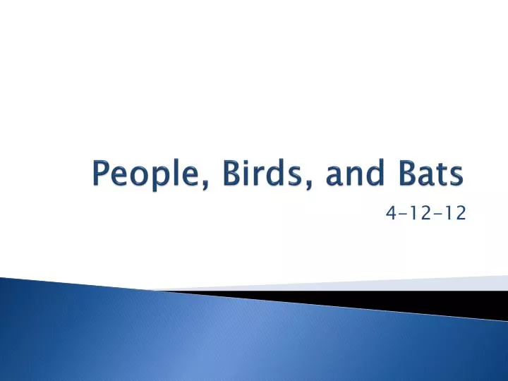 people birds and bats