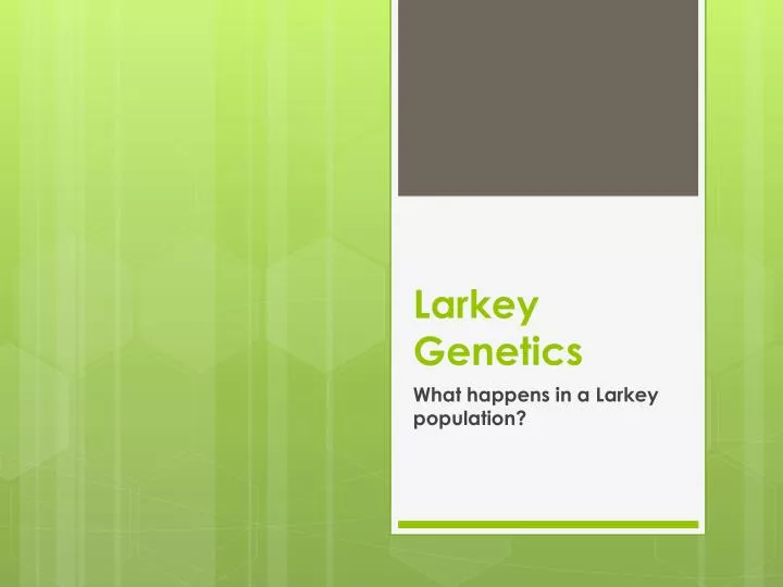 larkey genetics