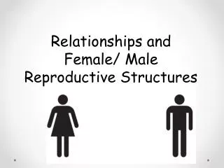 Relationships and Female/ Male Reproductive Structures