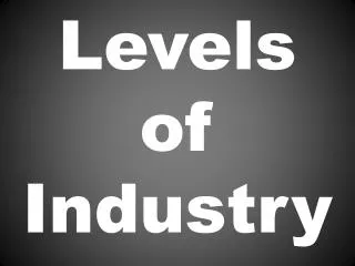 Levels of Industry