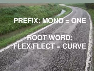 Prefix: Mono = one root word: flex/ flect = curve