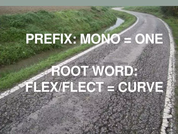 prefix mono one root word flex flect curve