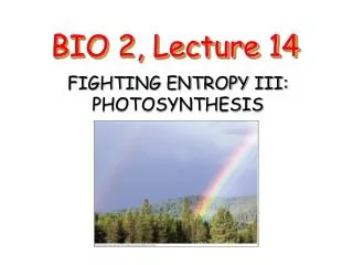BIO 2, Lecture 14