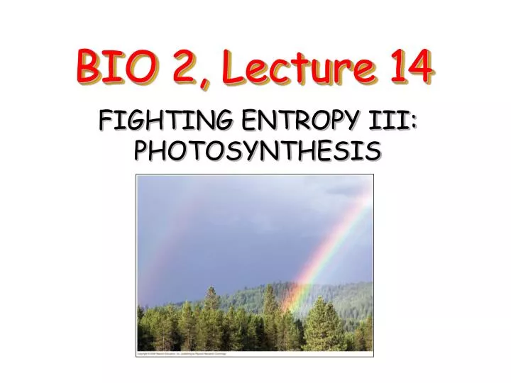 bio 2 lecture 14
