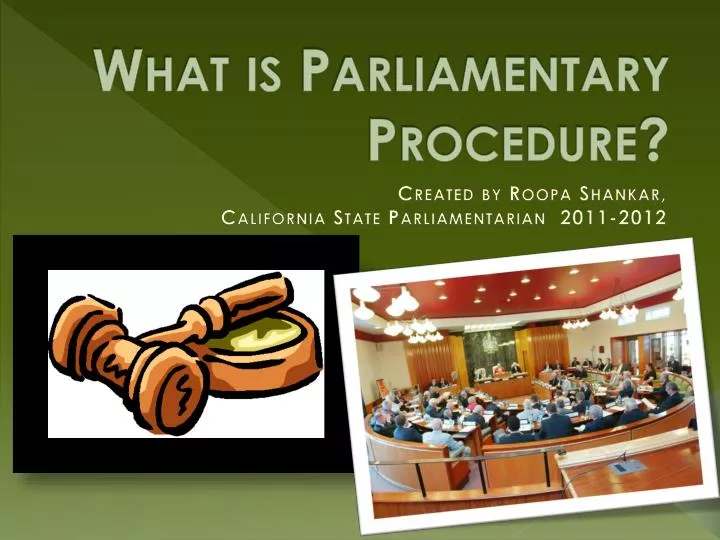 what is parliamentary procedure