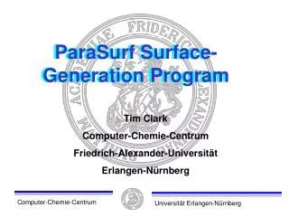 ParaSurf Surface-Generation Program