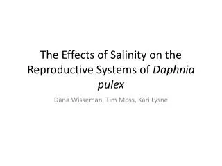 The Effects of Salinity on the Reproductive Systems of Daphnia pulex