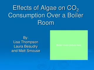 Effects of Algae on CO 2 Consumption Over a Boiler Room