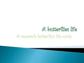 A butterflies life