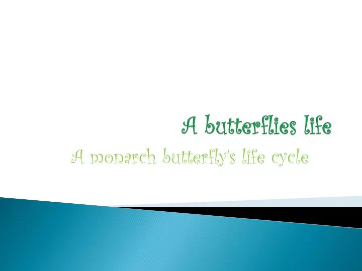 a butterflies life