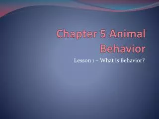 chapter 5 animal behavior