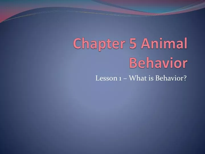 chapter 5 animal behavior