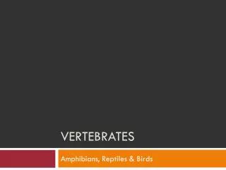 Vertebrates