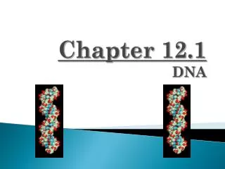 Chapter 12.1 DNA