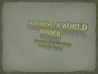 Rainforest, A World wonder