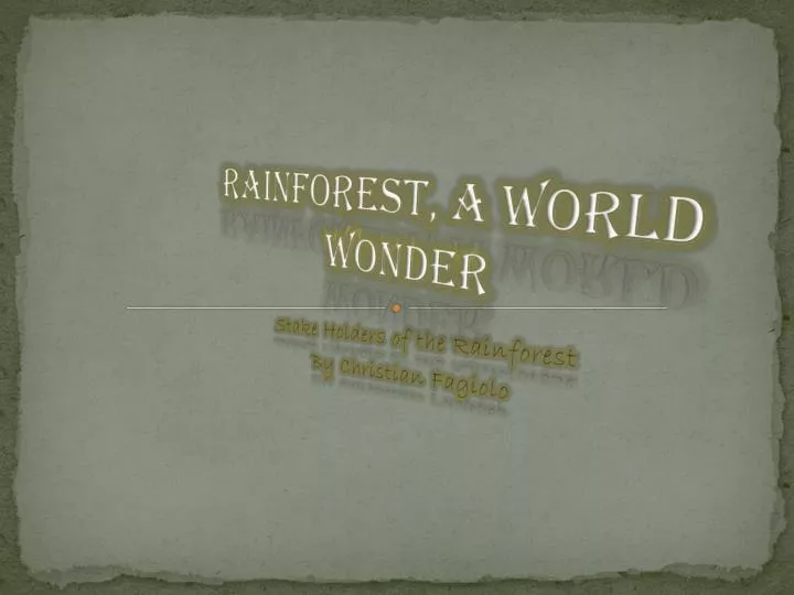 rainforest a world wonder