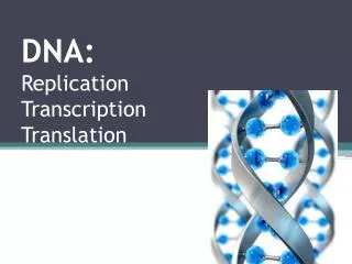 DNA: Replication Transcription Translation