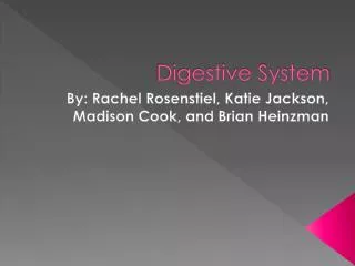 Digestive System